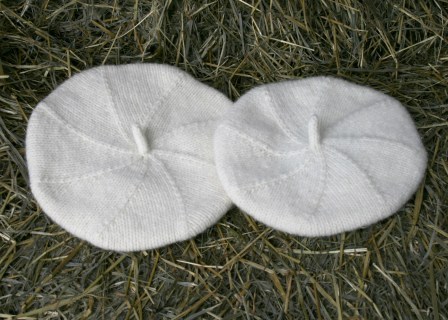 lueAlpeluea