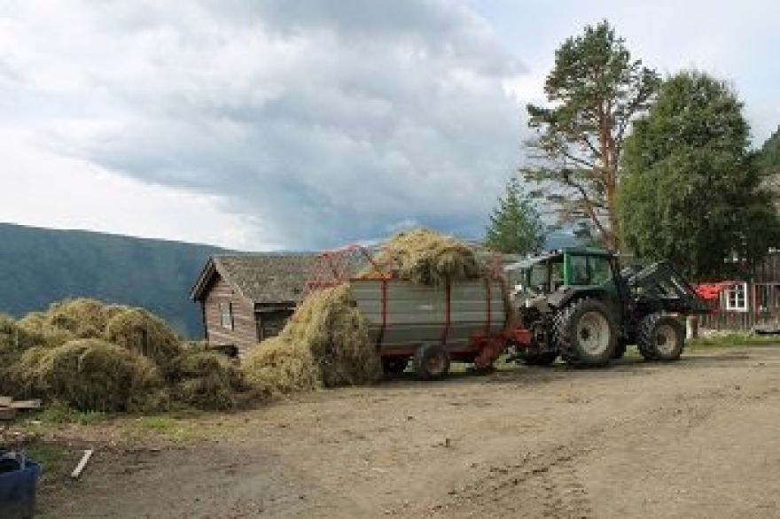 Produksjon av høy
